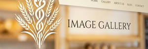site-logo-light